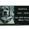 Laser Image Pet Burial Marker PetsToRemember.com